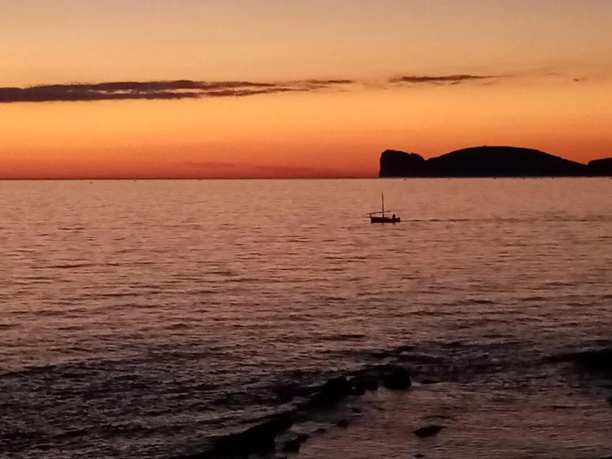 Ninfa Alghero